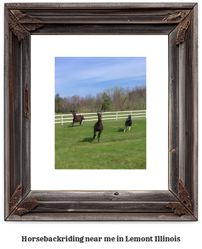 horseback riding near me in Lemont, Illinois